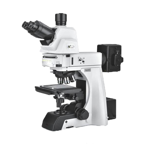 XJZ500透明.png